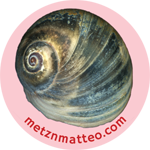 Moon Snail Shell Blue Apical | Magnet | 1in