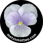 Pansy Viola Flower | Pinback Button | 1in