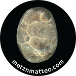 Petoskey Stone by Matteo | Magnet | 1in