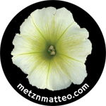 Petunia Flower | Magnet | 1in