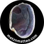 Quahog Clam Shell Purple Right Interior | Magnet | 1in