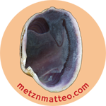 Quahog Clam Shell Purple Right Interior | Magnet | 1in