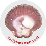 Scallop Shell Magenta Left Exterior | Magnet | 1in