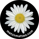 Shasta Daisy Flower | Magnet | 1in