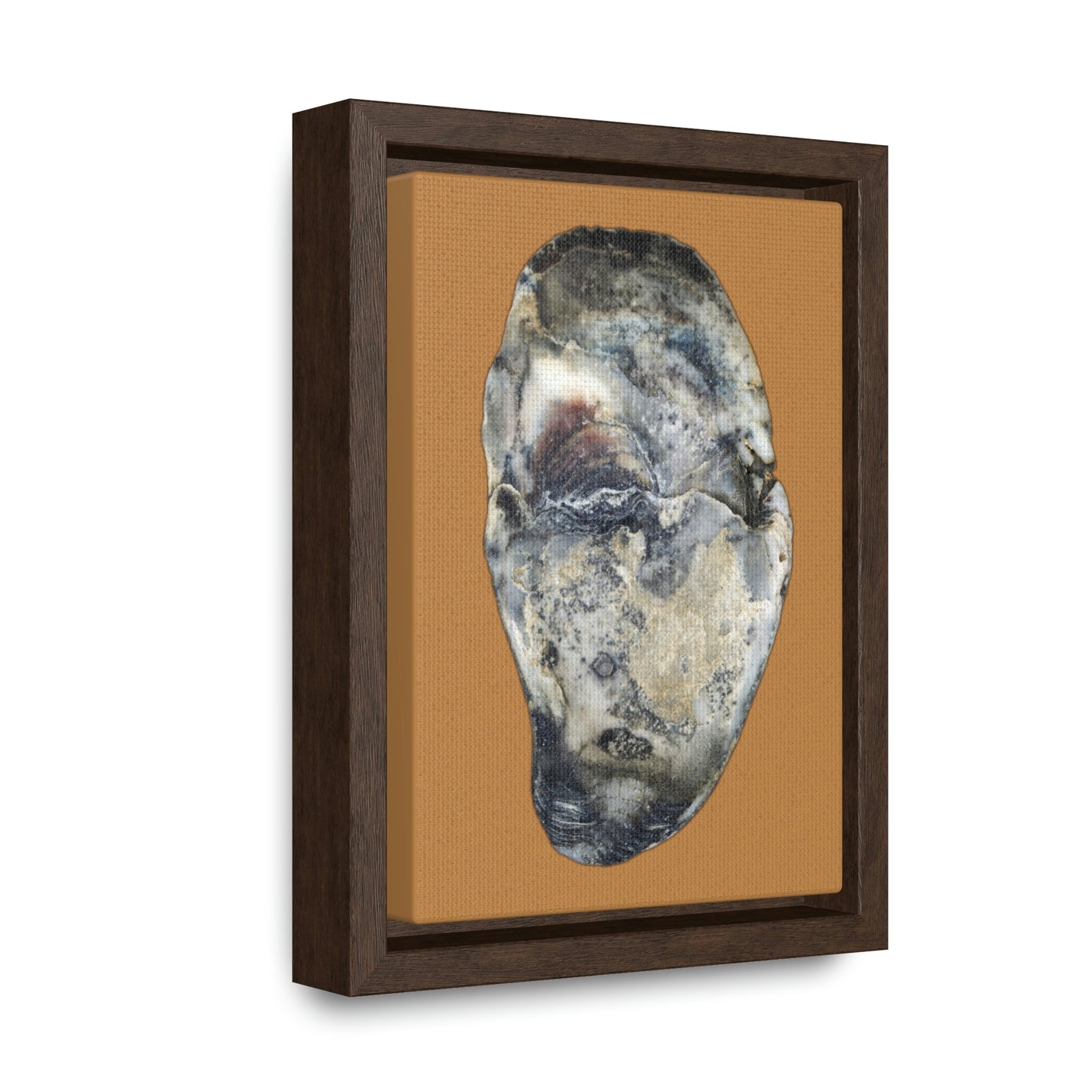 Oyster Shell Blue Right Interior | Framed Canvas | Camel Brown Background