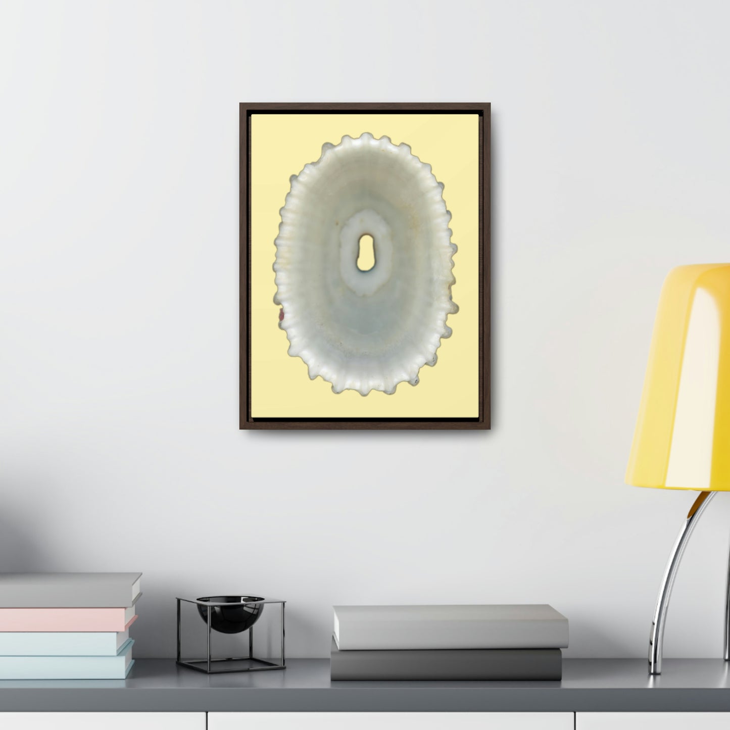 Keyhole Limpet Shell White Interior | Framed Canvas | Sunshine Background