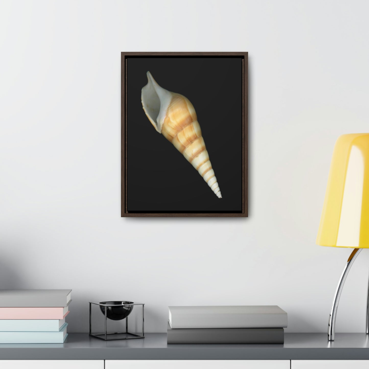 Turrid Shell Tan Apertural | Framed Canvas | Black Background