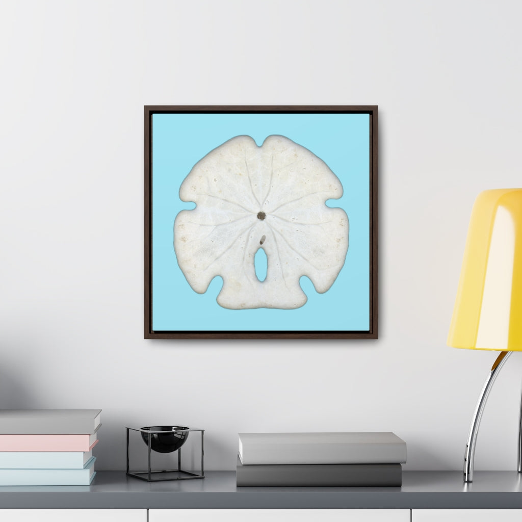 Arrowhead Sand Dollar Shell Bottom | Framed Canvas | Sky Blue Background