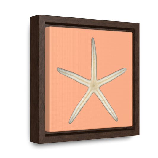 Finger Starfish Shell Bottom | Framed Canvas | Peach Background