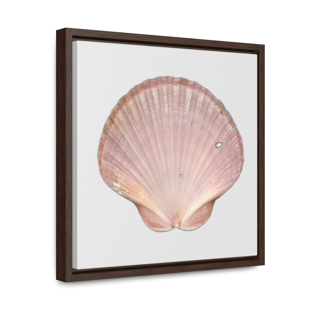 Scallop Shell Magenta Left Interior | Framed Canvas | Silver Background