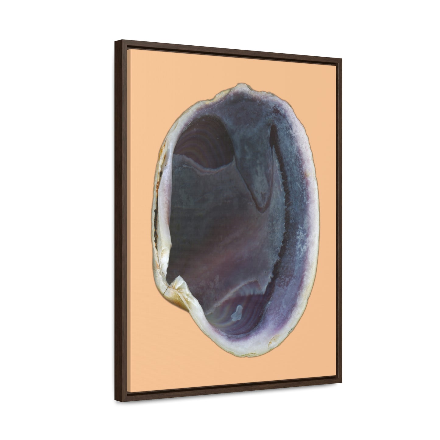 Quahog Clam Shell Purple Right Interior | Framed Canvas | Desert Tan Background