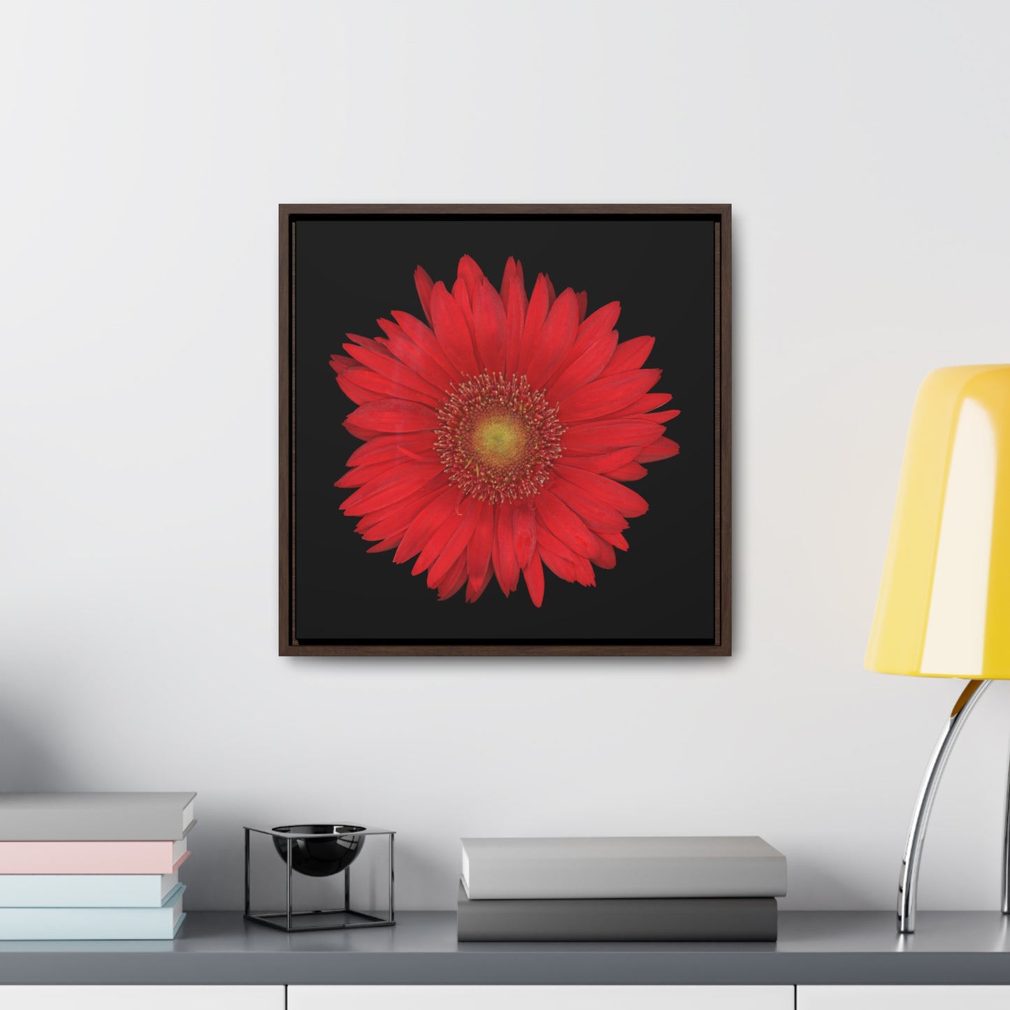 Gerbera Daisy Flower Red | Framed Canvas | Black Background