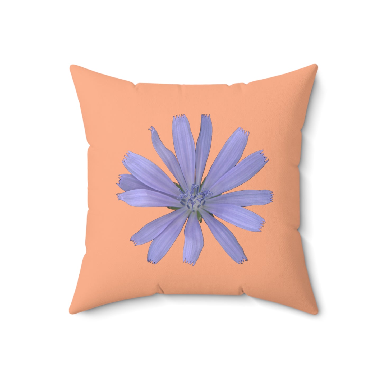 Throw Pillow | Chicory Flower Blue | Peach | 18x18 Bloomcore Cottagecore Gardencore Fairycore