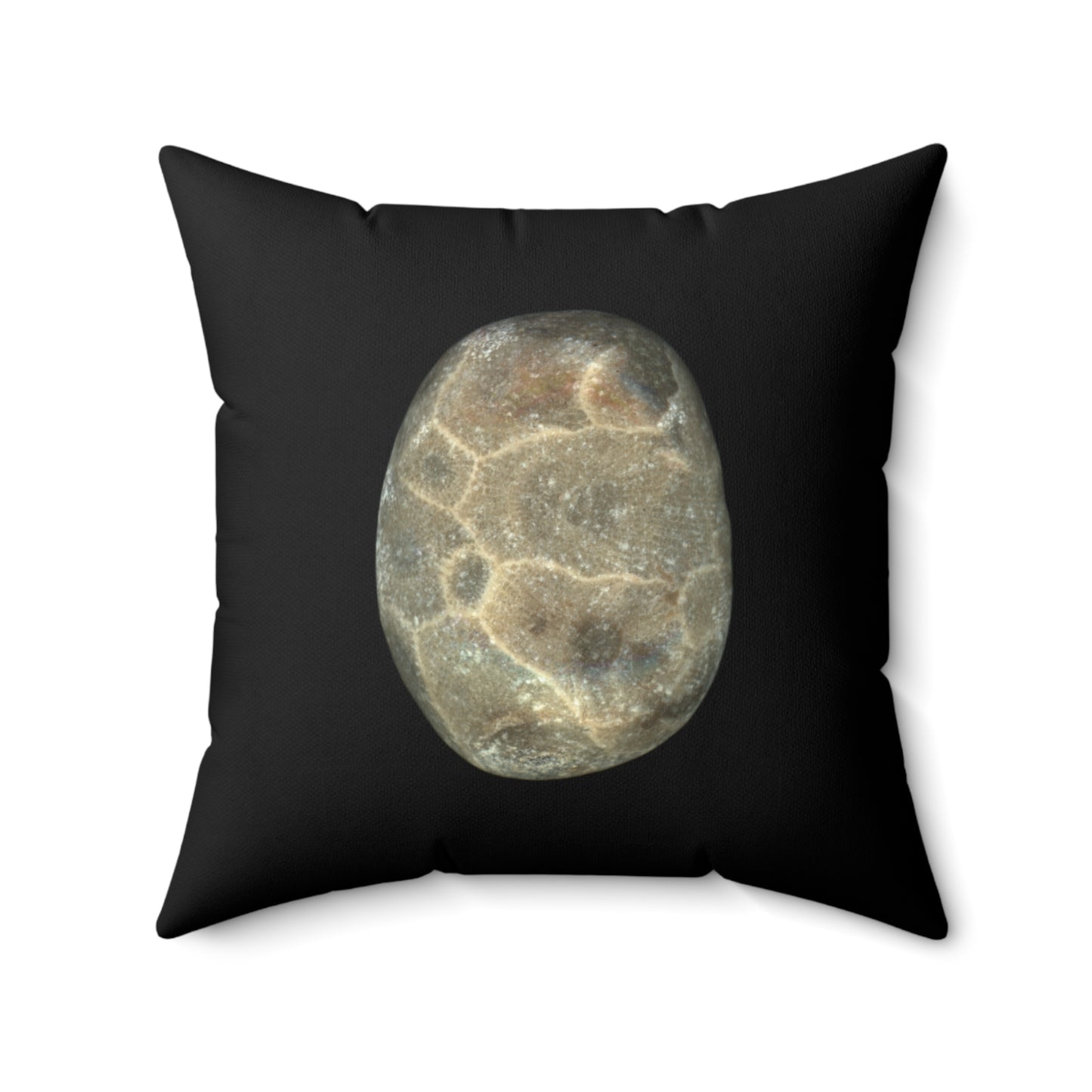 Petoskey Stone | Throw Pillow | Black