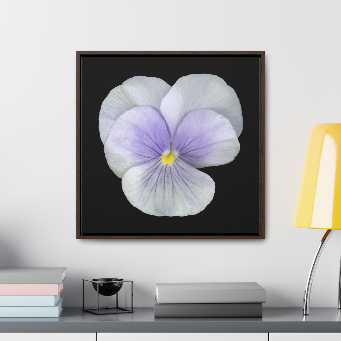 Pansy Viola Flower Lavender | Framed Canvas | Black Background