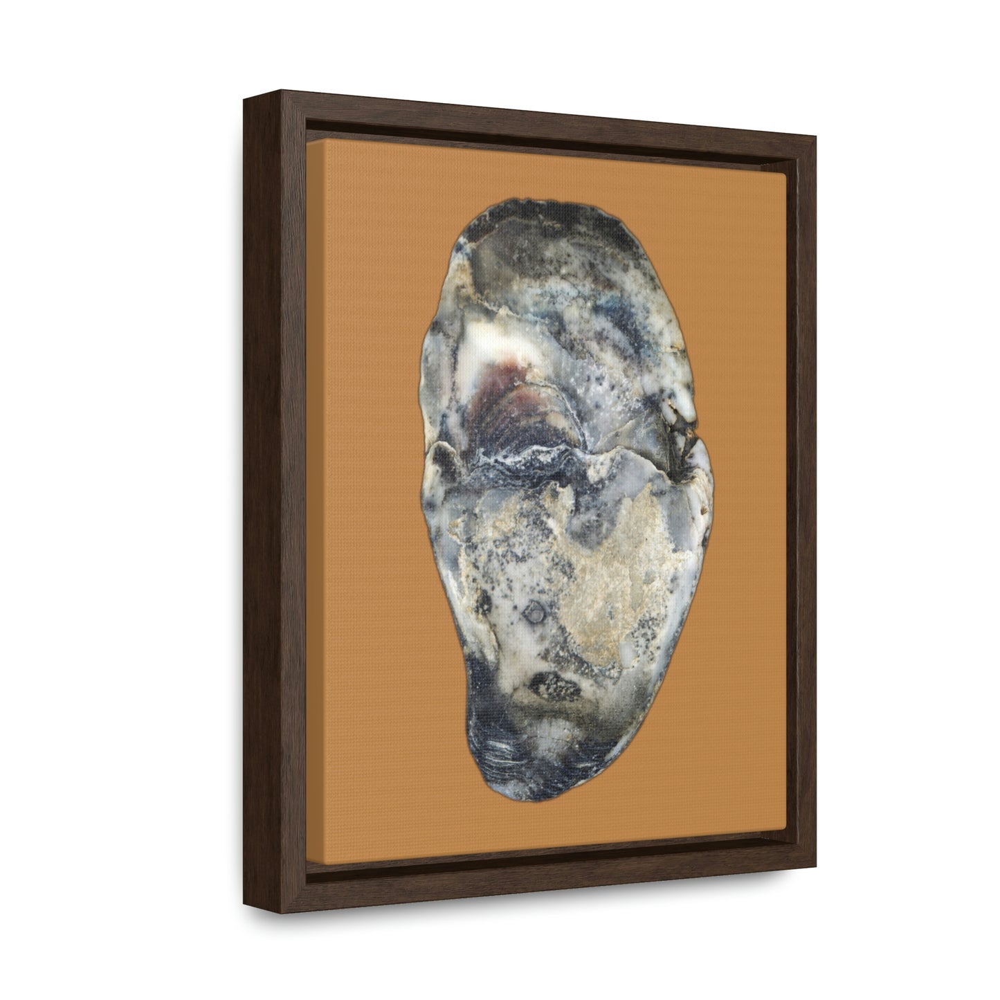 Oyster Shell Blue Right Interior | Framed Canvas | Camel Brown Background