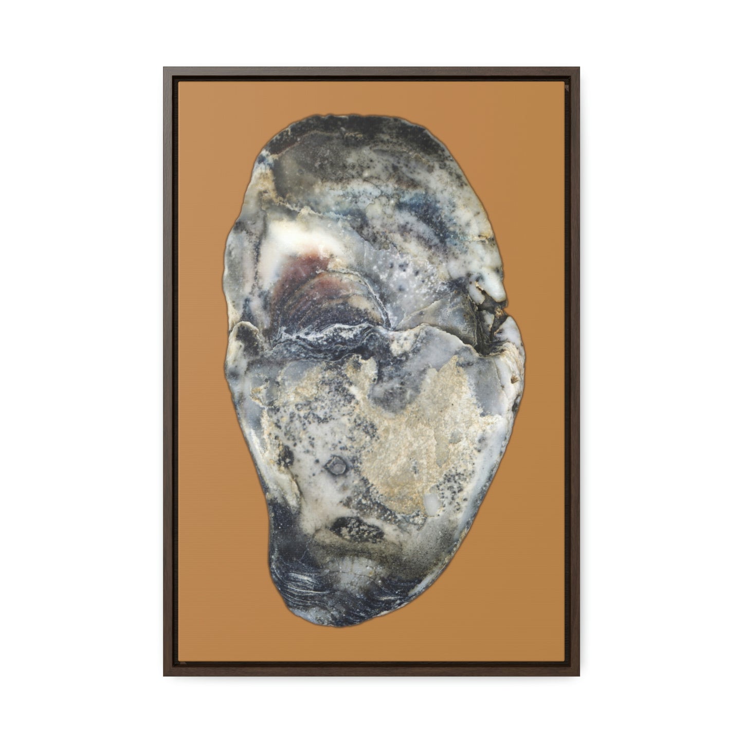 Oyster Shell Blue Right Interior | Framed Canvas | Camel Brown Background