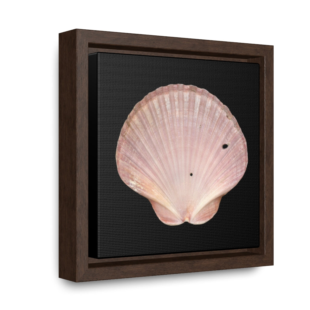 Scallop Shell Magenta Left Interior | Framed Canvas | Black Background