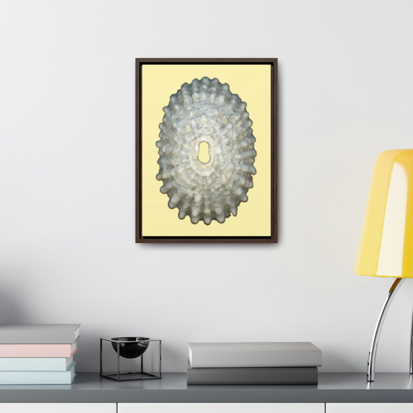 Keyhole Limpet Shell White Exterior | Framed Canvas | Sunshine Background