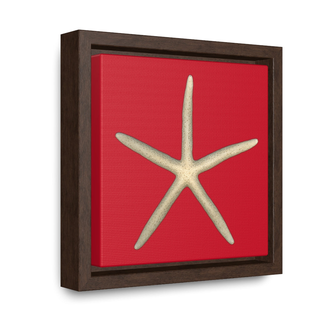 Finger Starfish Shell Top | Framed Canvas | Red Background