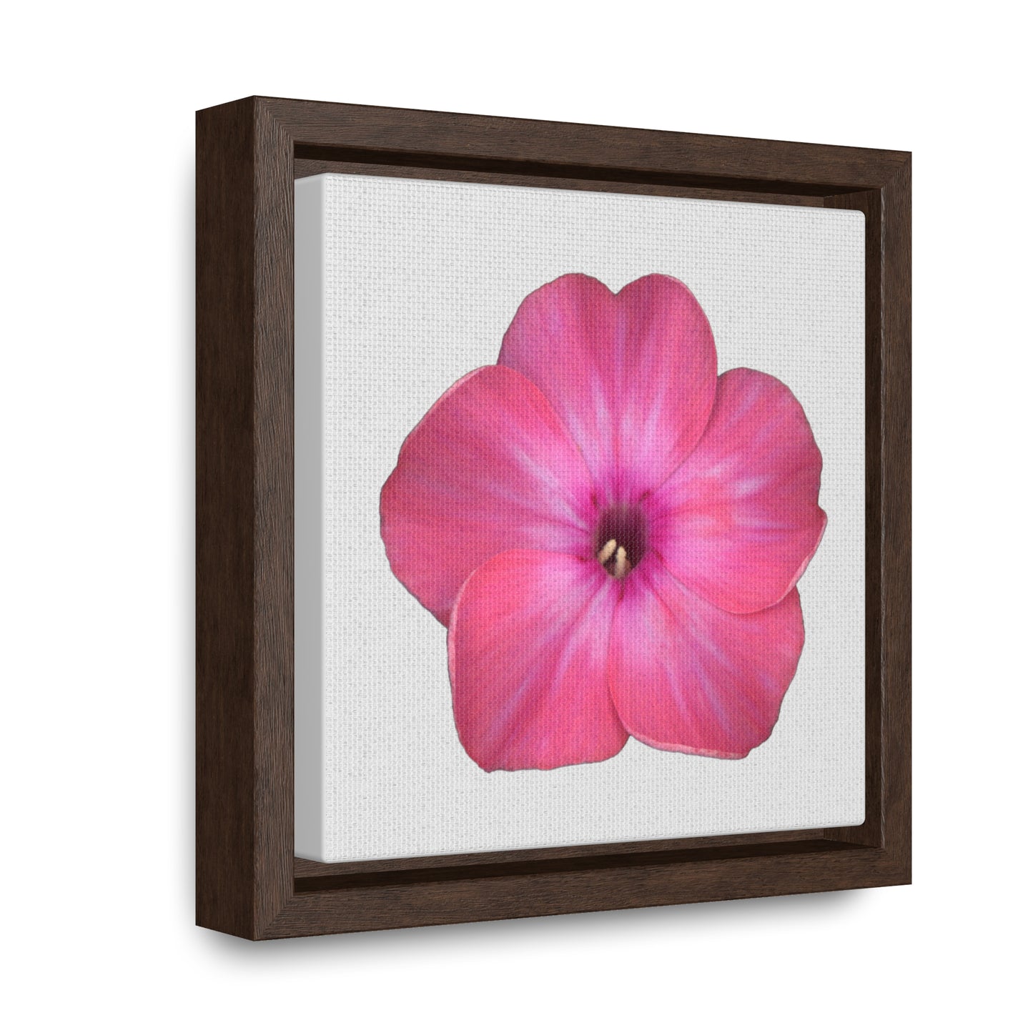 Phlox Flower Detail Pink | Framed Canvas | Silver Background