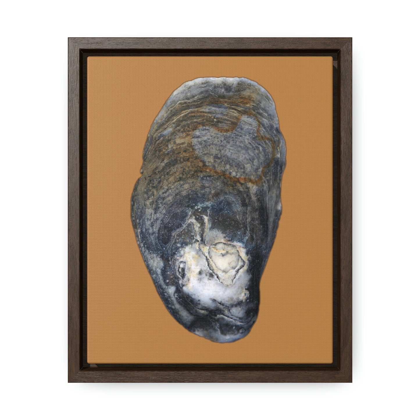 Oyster Shell Blue Right Exterior | Framed Canvas | Camel Brown Background