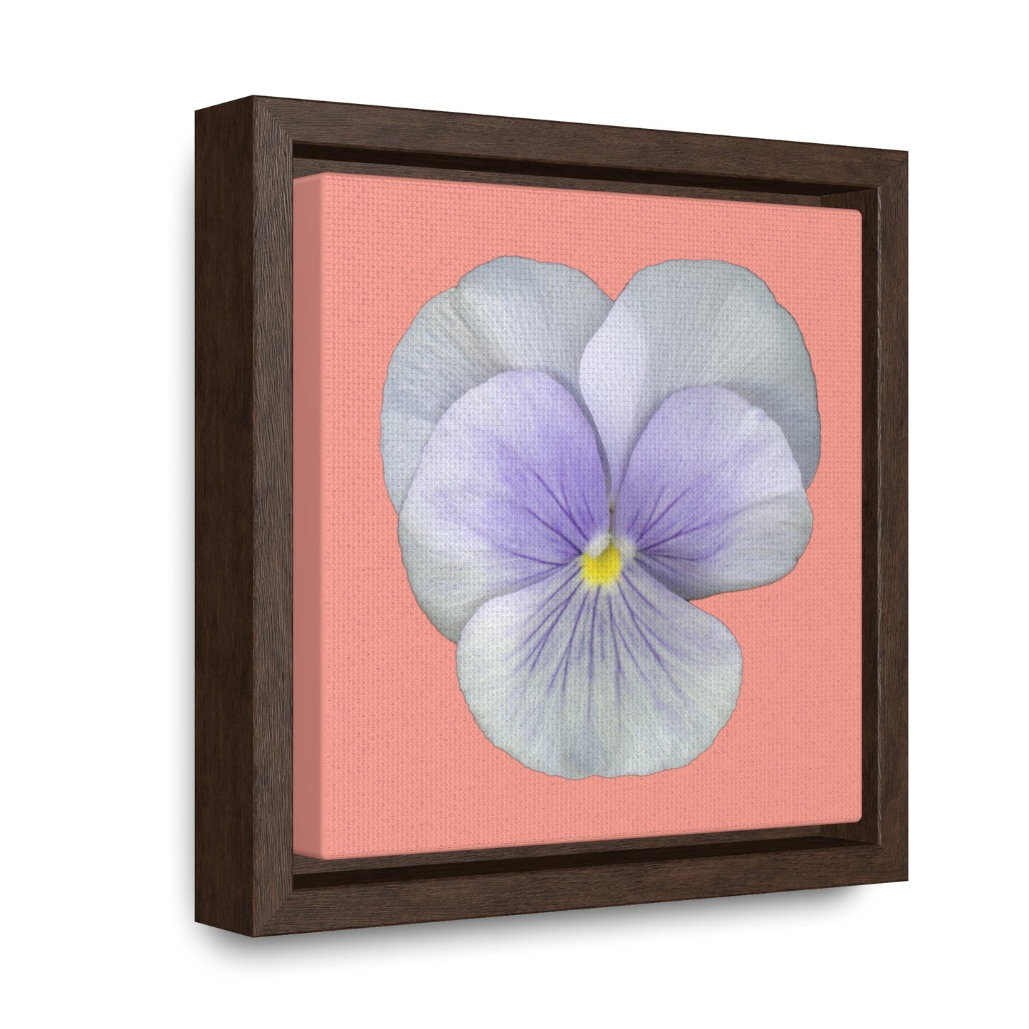 Pansy Viola Flower Lavender | Framed Canvas | Flamingo Pink Background