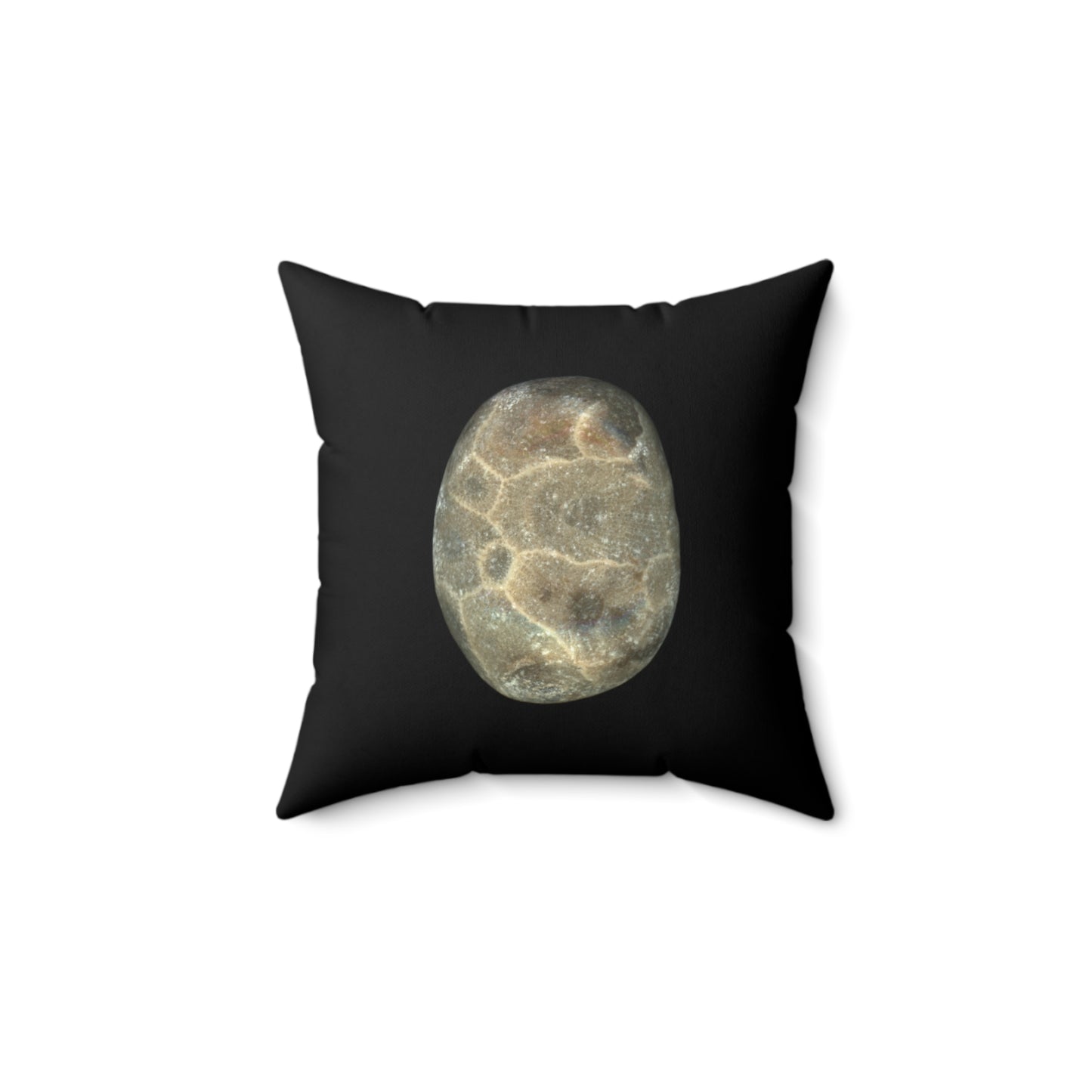 Petoskey Stone | Throw Pillow | Black