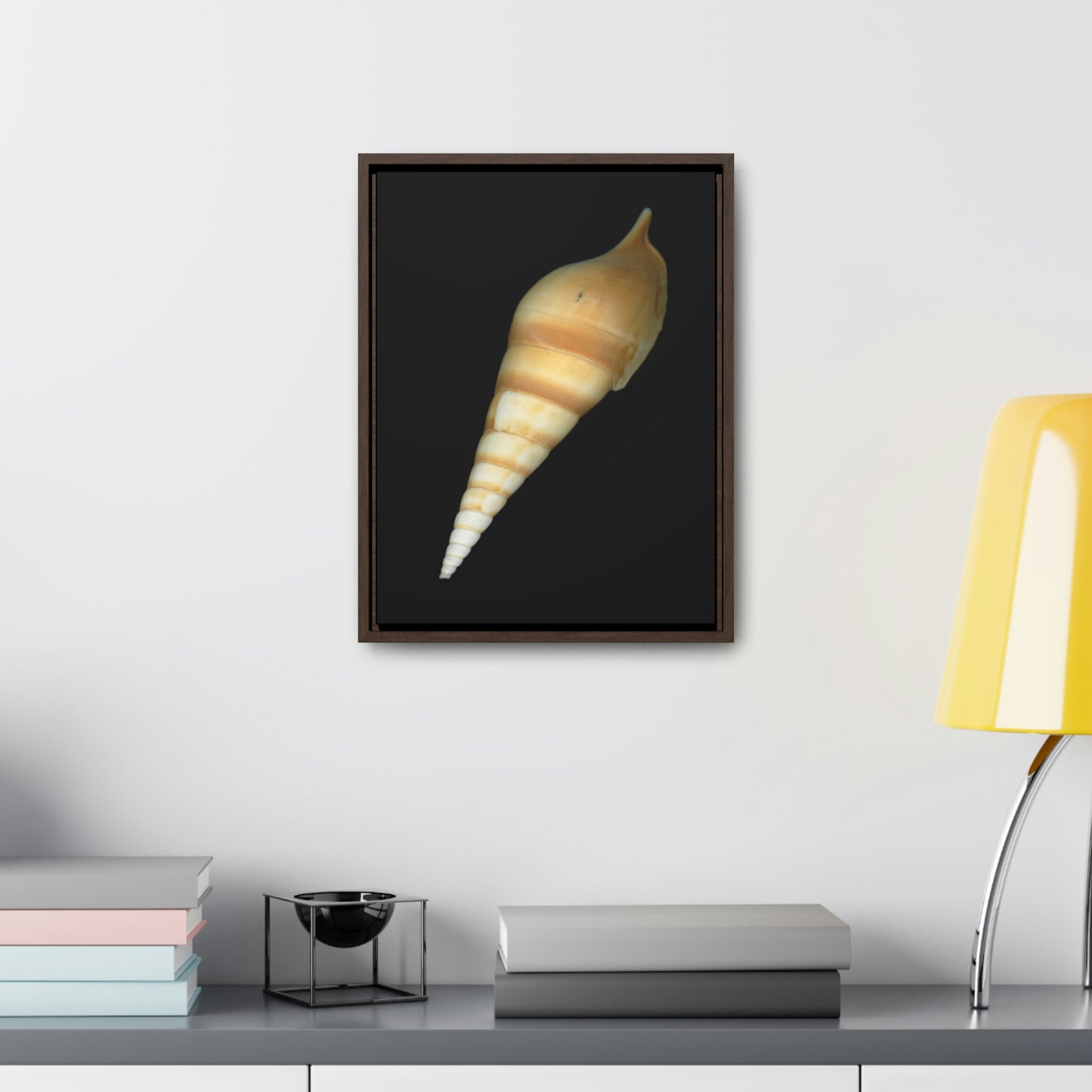 Turrid Shell Tan Dorsal | Framed Canvas | Black Background