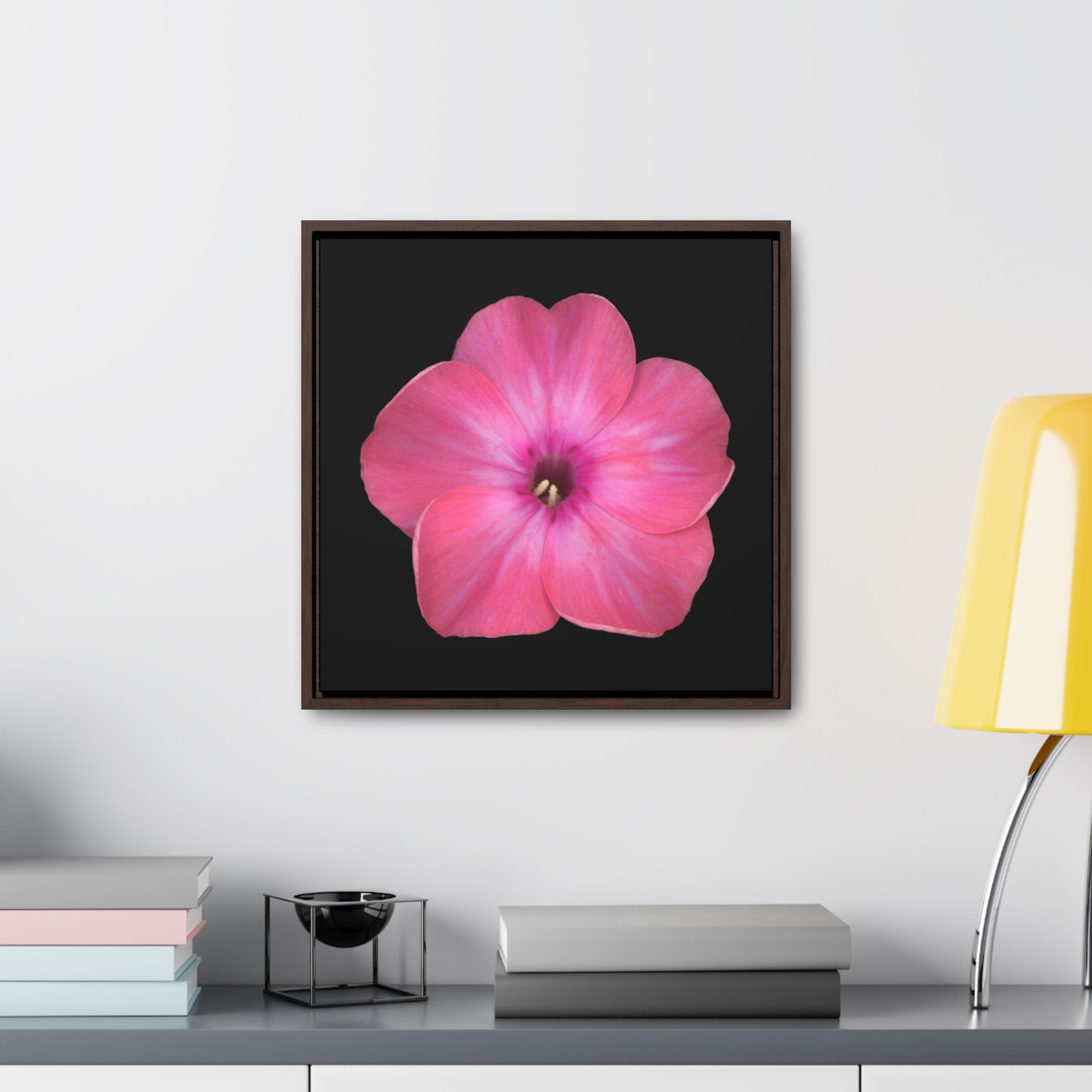 Phlox Flower Detail Pink | Framed Canvas | Black Background