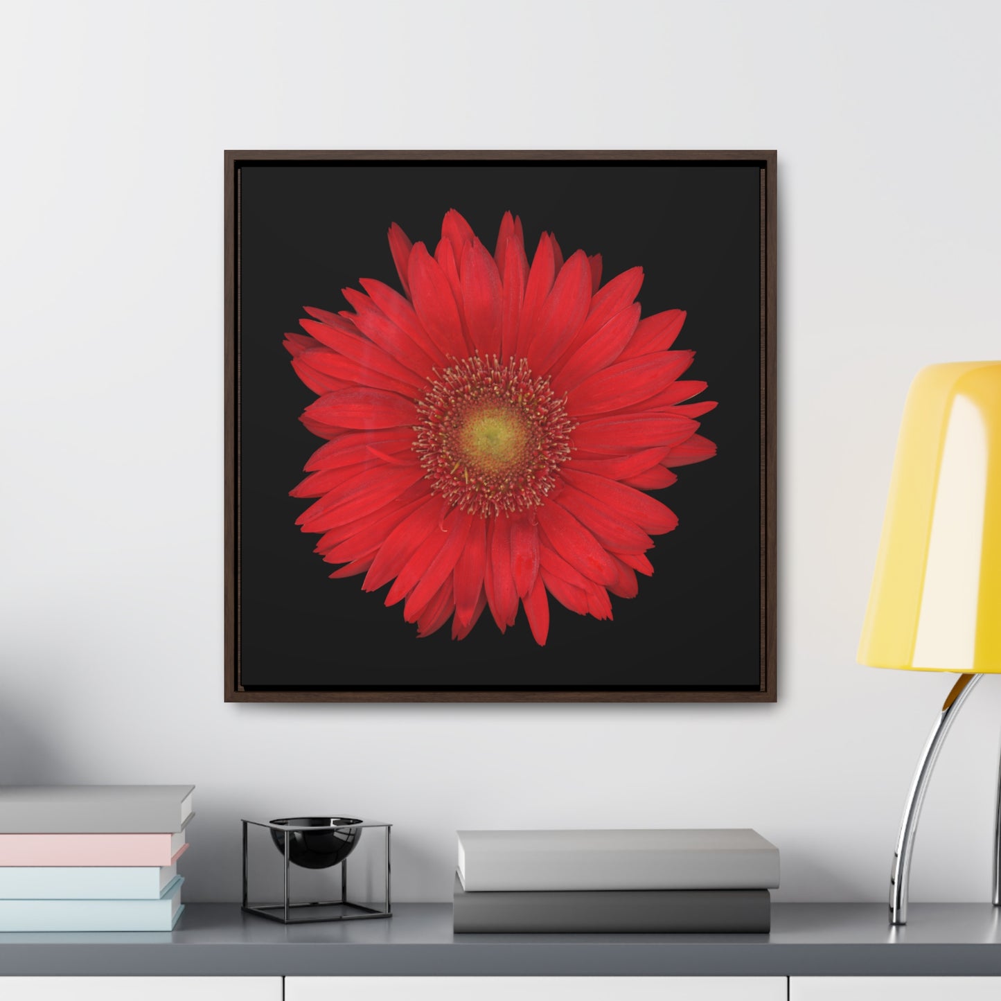 Gerbera Daisy Flower Red | Framed Canvas | Black Background