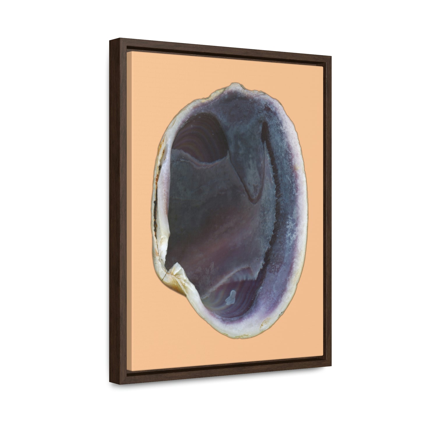 Quahog Clam Shell Purple Right Interior | Framed Canvas | Desert Tan Background