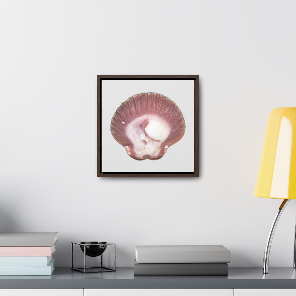 Scallop Shell Magenta Left Exterior | Framed Canvas | Silver Background