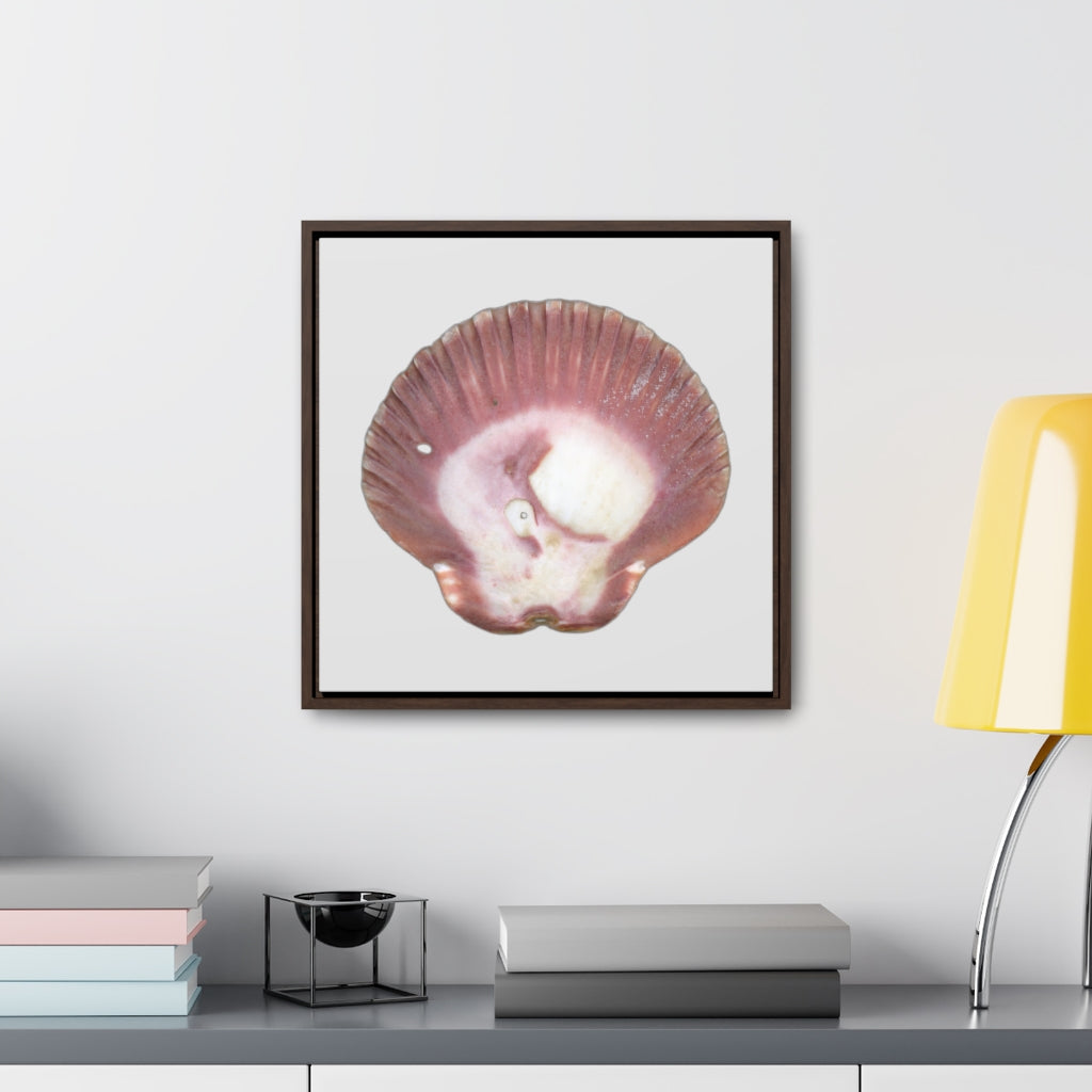 Scallop Shell Magenta Left Exterior | Framed Canvas | Silver Background