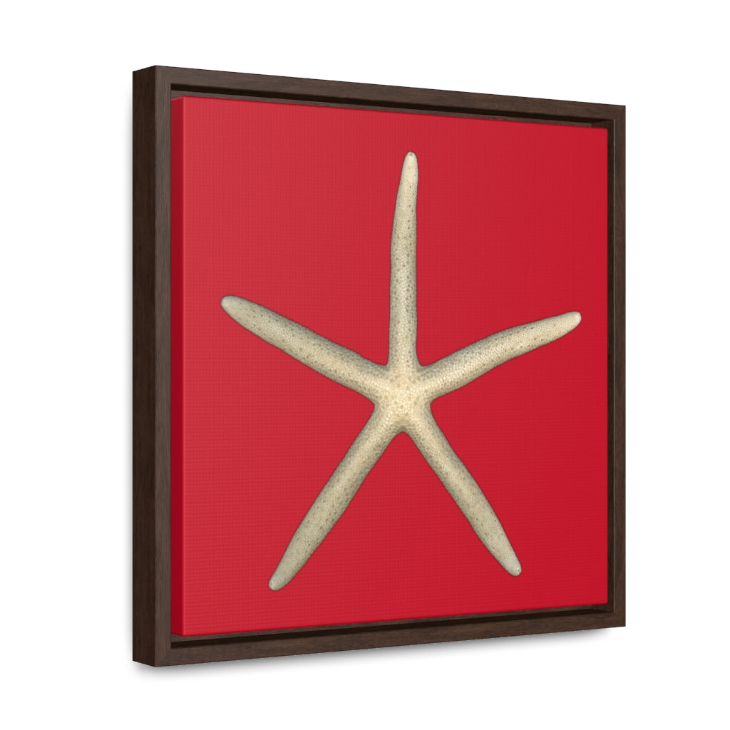 Finger Starfish Shell Top | Framed Canvas | Red Background