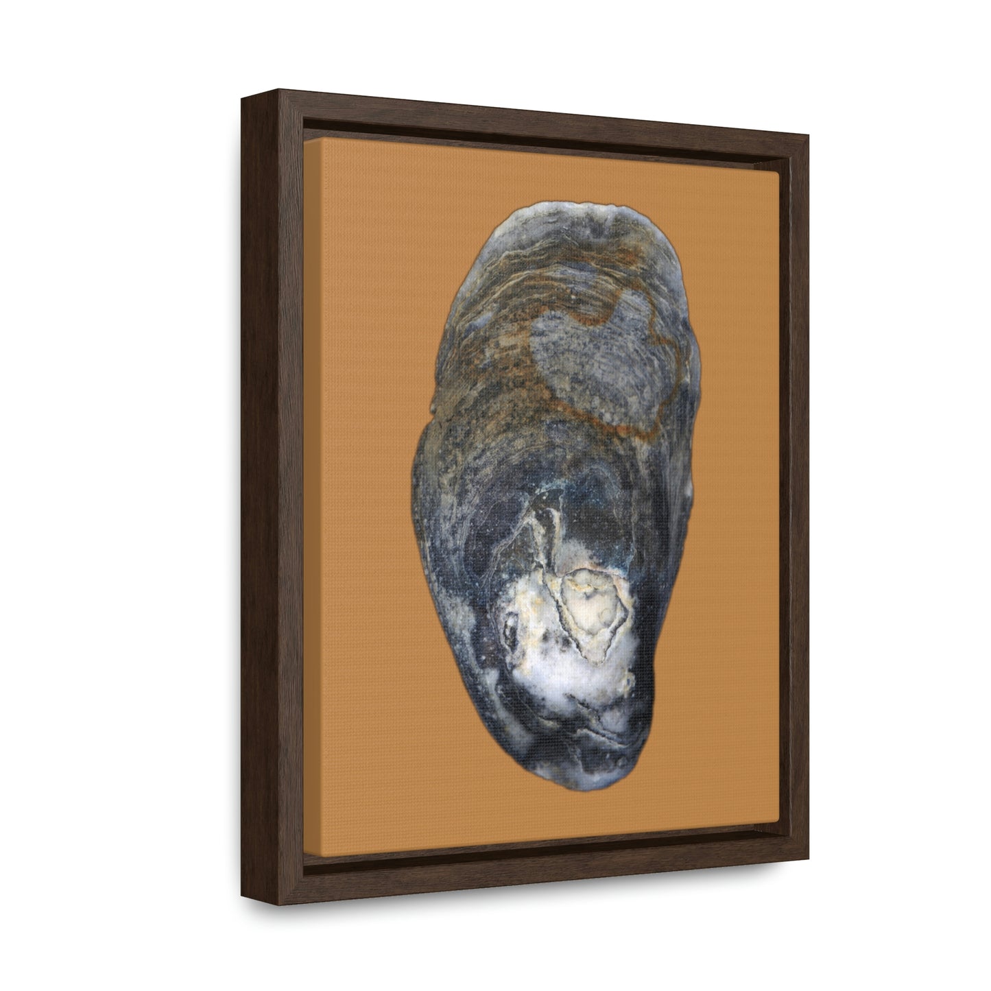 Oyster Shell Blue Right Exterior | Framed Canvas | Camel Brown Background