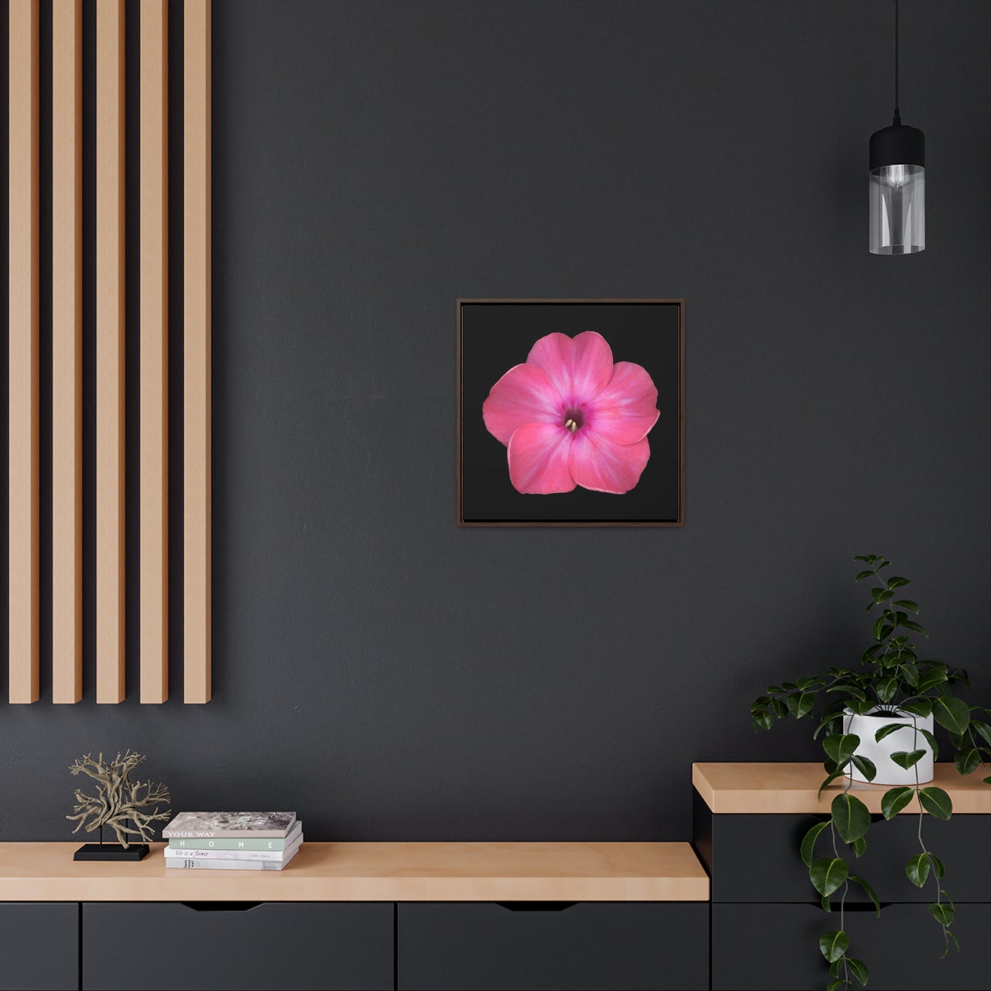 Phlox Flower Detail Pink | Framed Canvas | Black Background