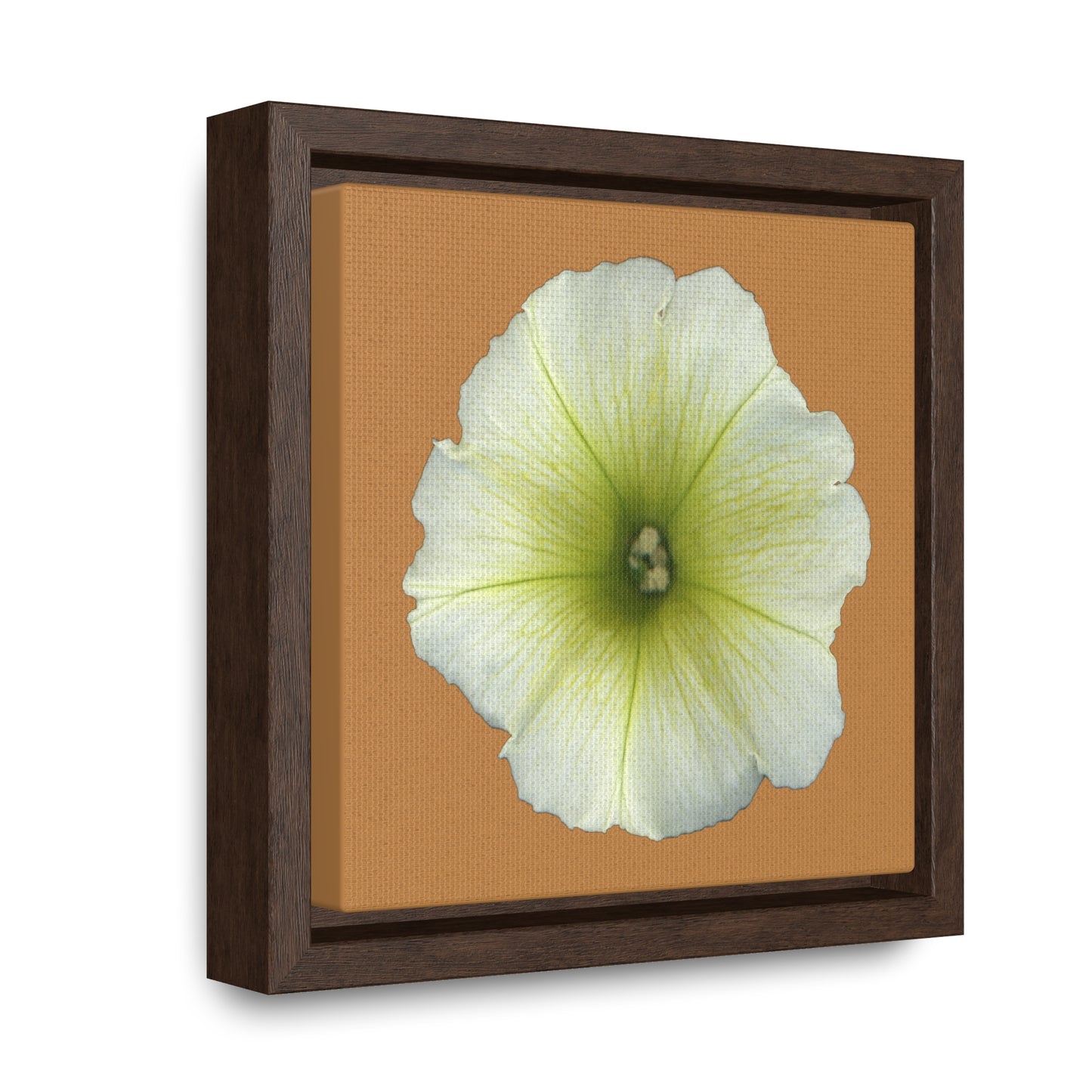 Petunia Flower Yellow-Green | Framed Canvas | Camel Brown Background