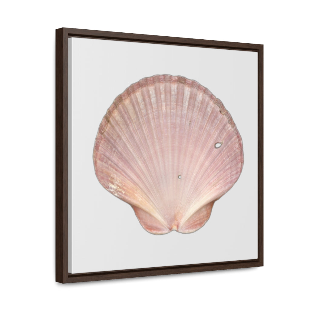 Scallop Shell Magenta Left Interior | Framed Canvas | Silver Background