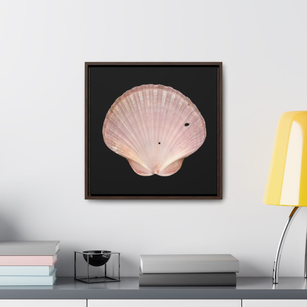 Scallop Shell Magenta Left Interior | Framed Canvas | Black Background