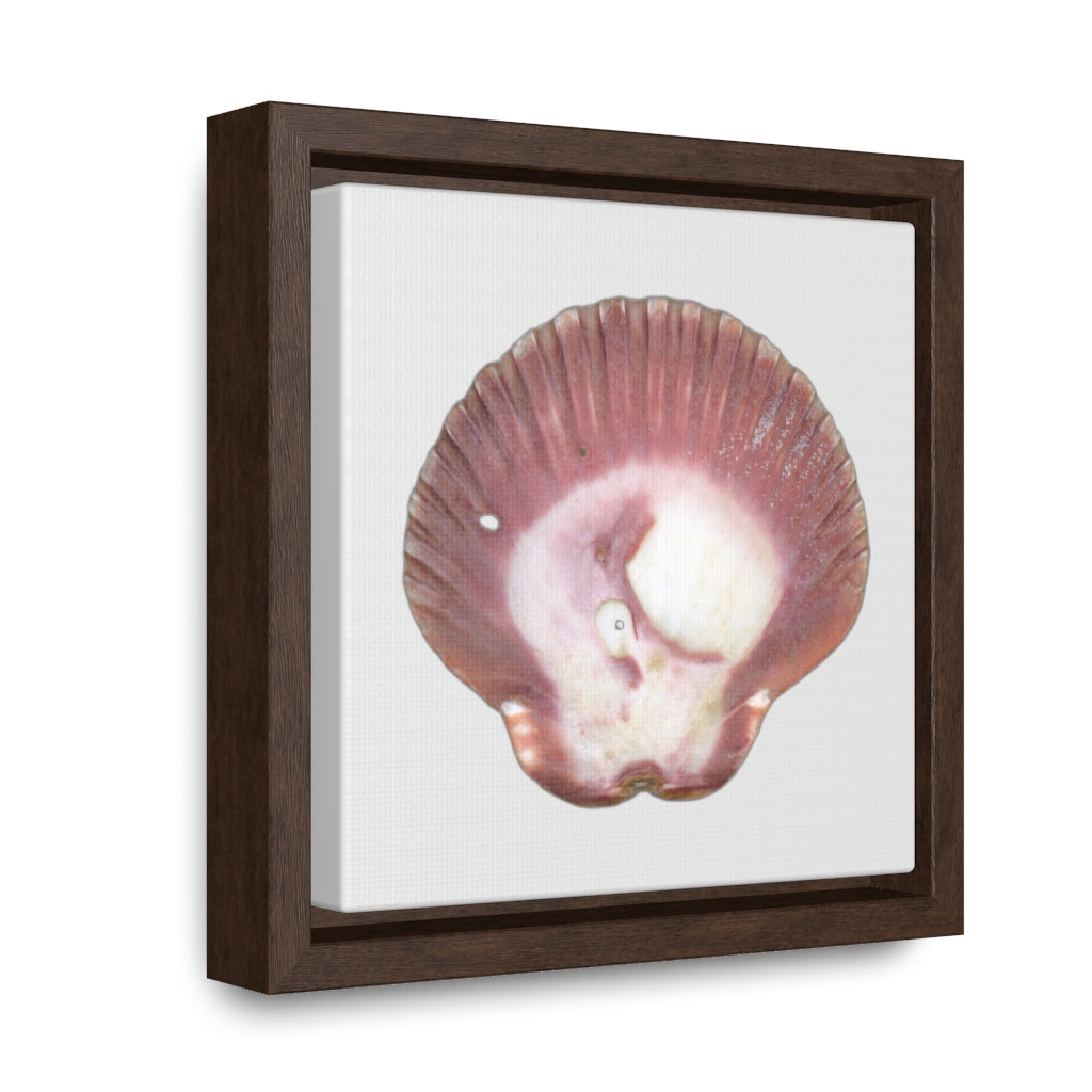 Scallop Shell Magenta Left Exterior | Framed Canvas | Silver Background