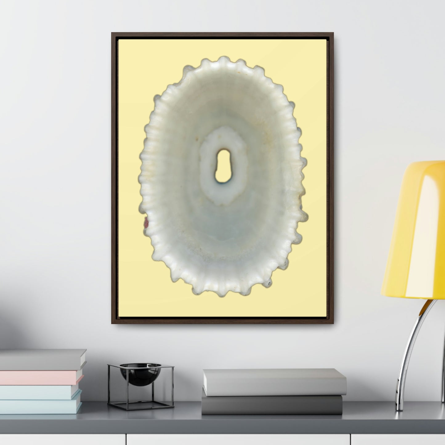 Keyhole Limpet Shell White Interior | Framed Canvas | Sunshine Background