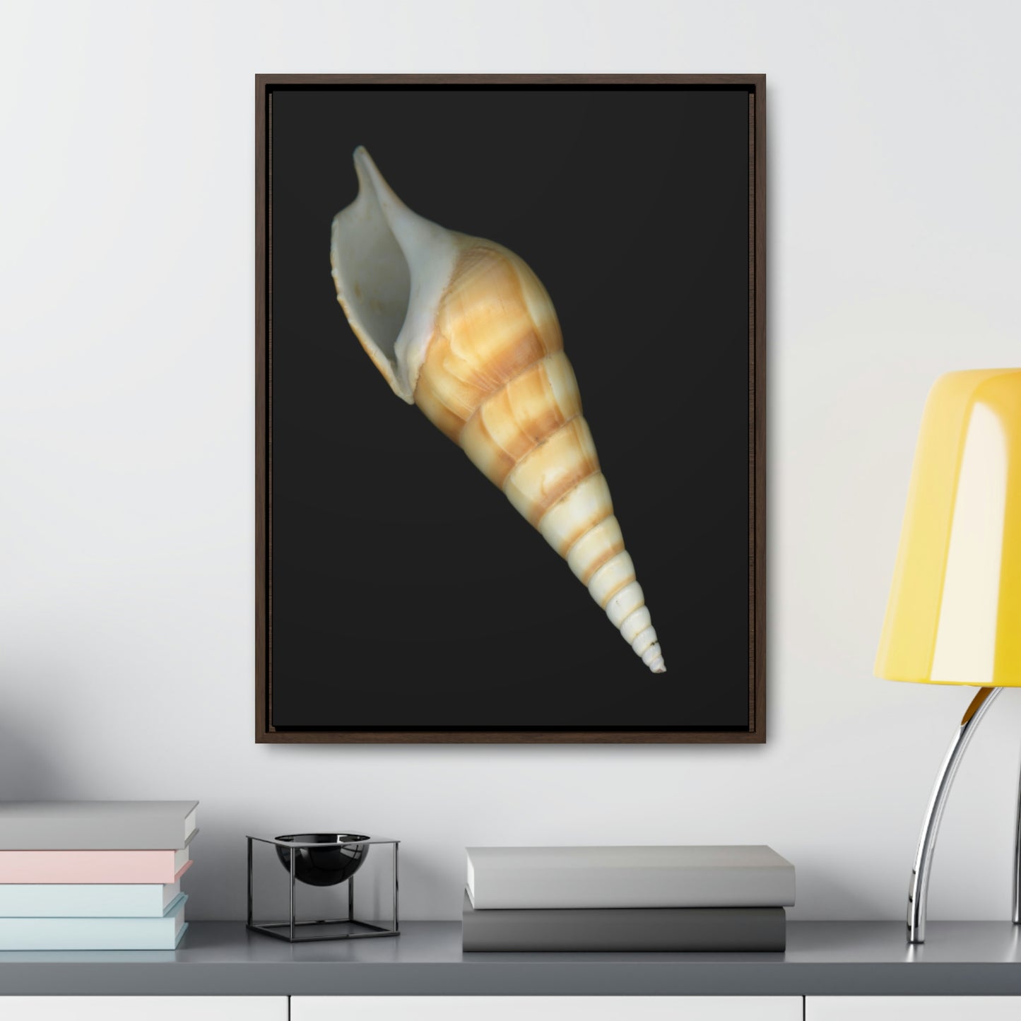 Turrid Shell Tan Apertural | Framed Canvas | Black Background