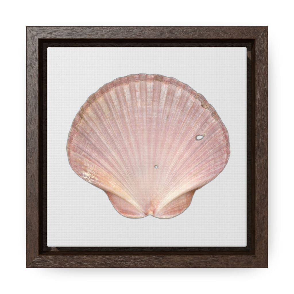 Scallop Shell Magenta Left Interior | Framed Canvas | Silver Background