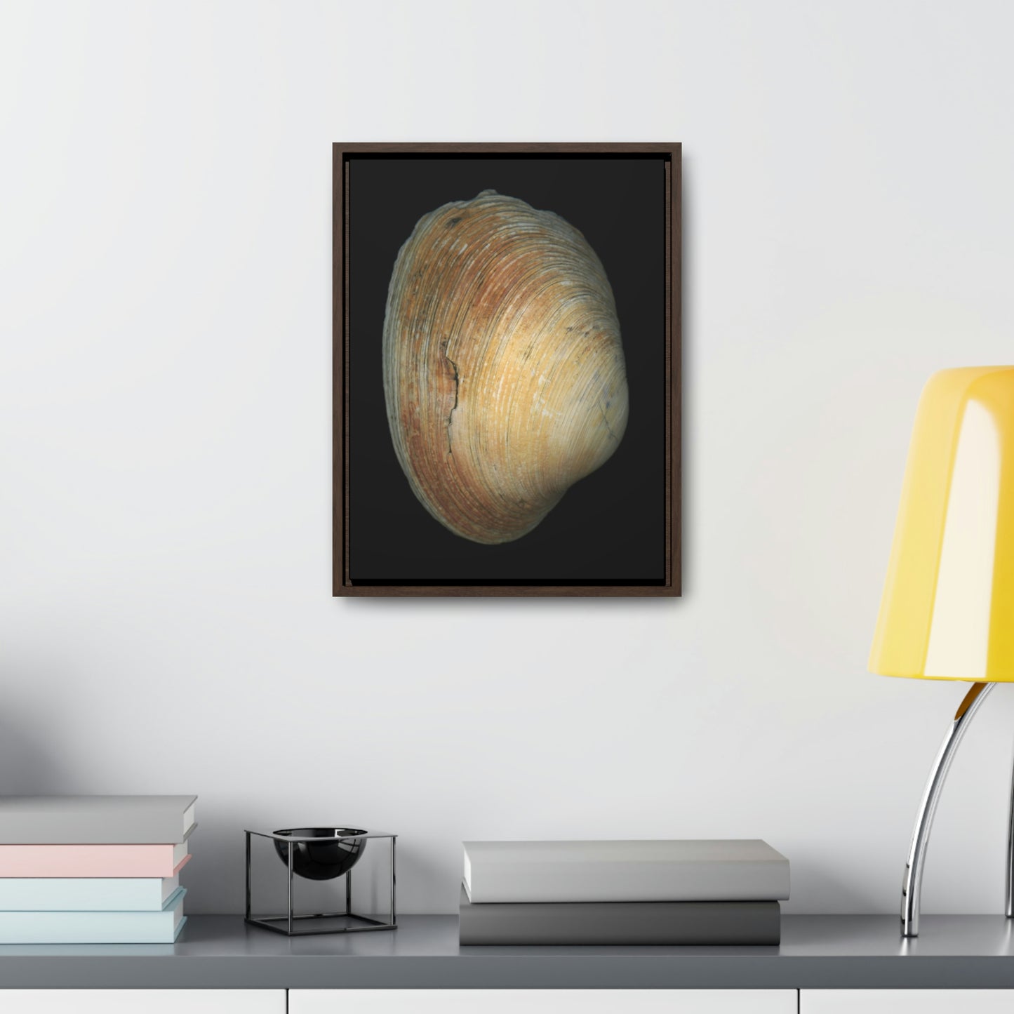 Quahog Clam Shell Purple Right Exterior | Framed Canvas | Black Background