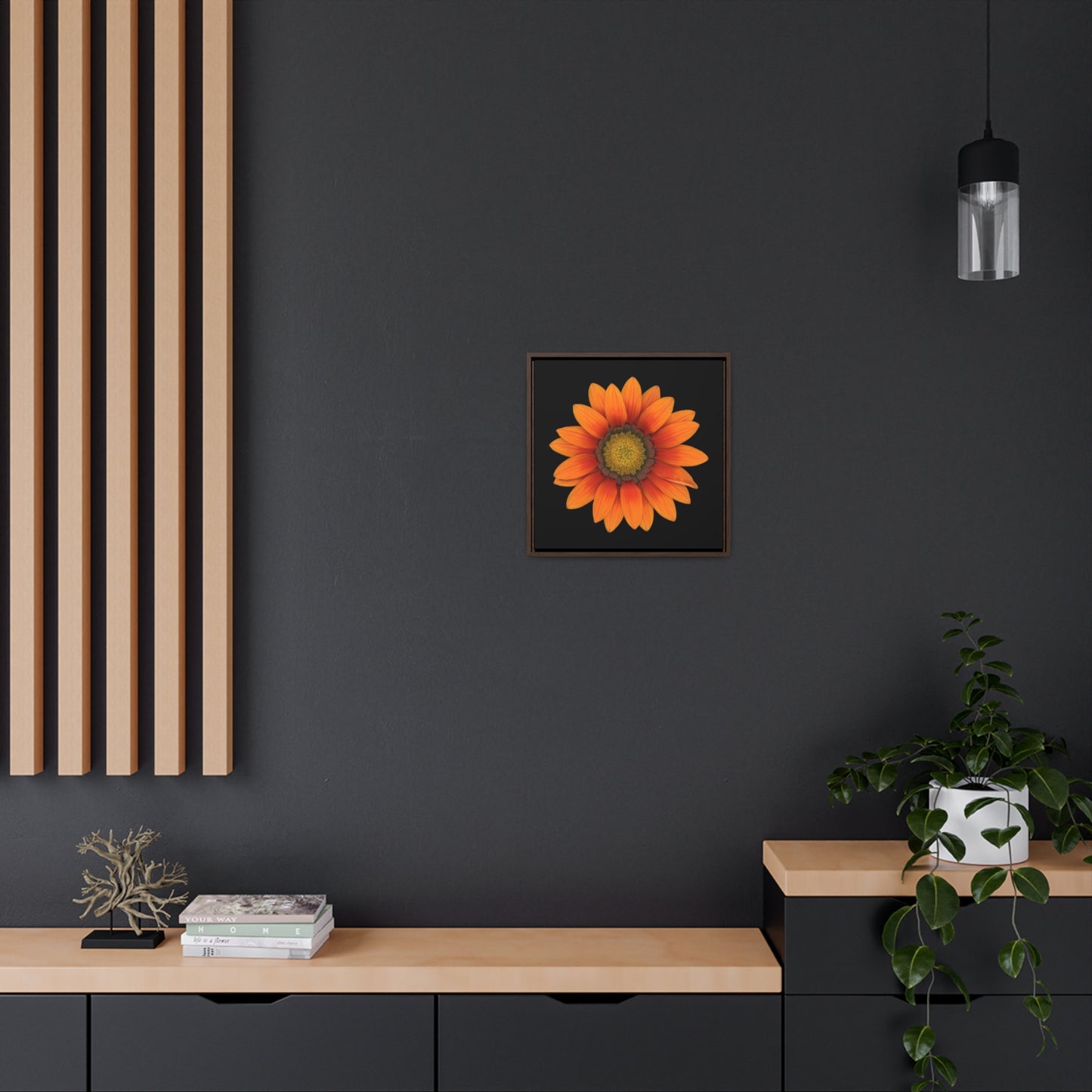 Gazania Flower Orange | Framed Canvas | Black Background