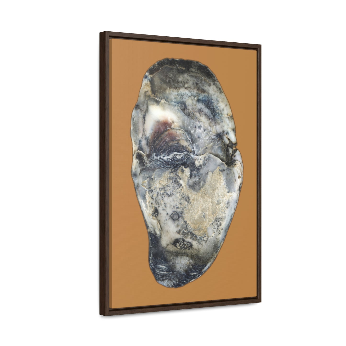 Oyster Shell Blue Right Interior | Framed Canvas | Camel Brown Background