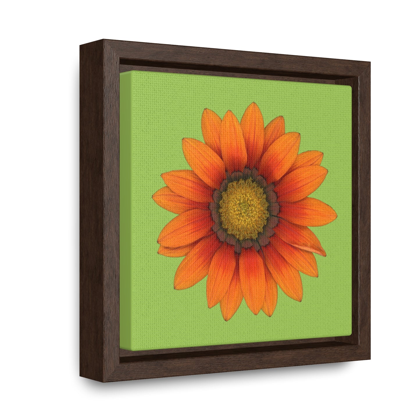 Gazania Flower Orange | Framed Canvas | Pistachio Green Background