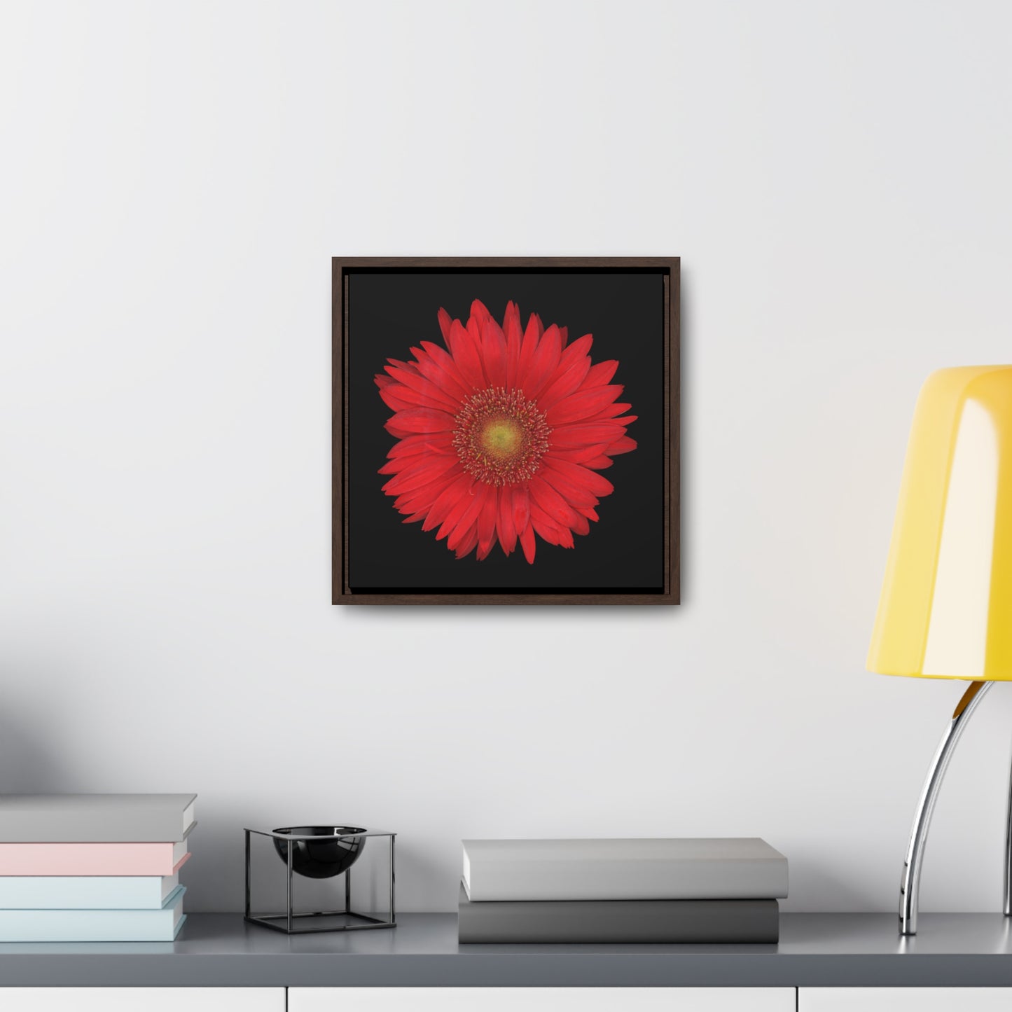 Gerbera Daisy Flower Red | Framed Canvas | Black Background