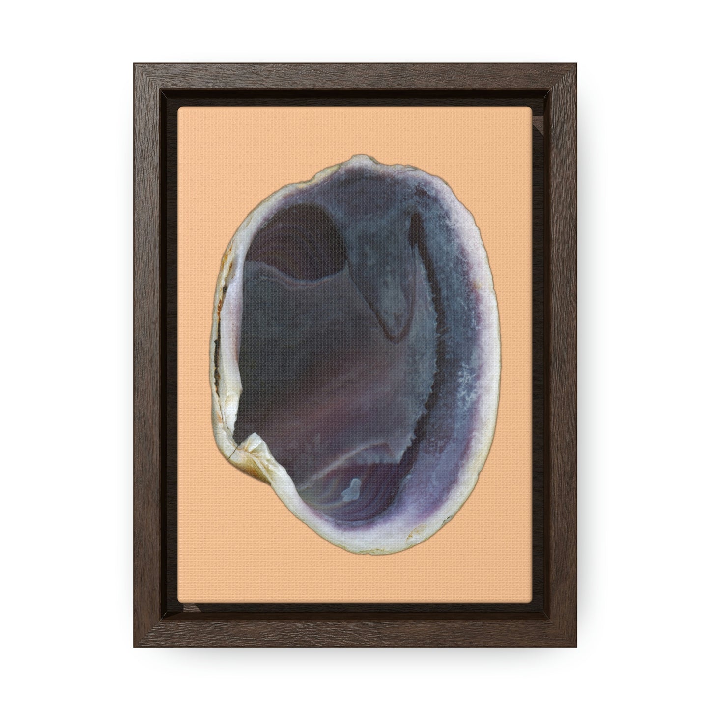 Quahog Clam Shell Purple Right Interior | Framed Canvas | Desert Tan Background